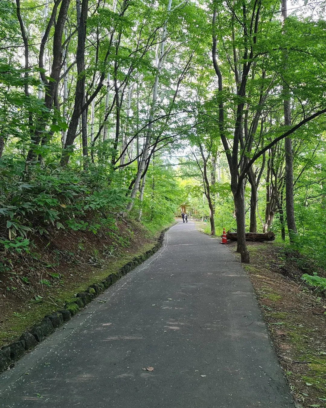 🏞️ 아사히야마 기념공원 (아사히야마 키넨 코엔) 이미지 8